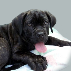 Фото: © Марк Базалев