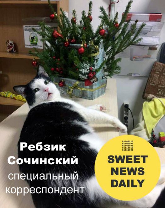 Ребзик Сочинский